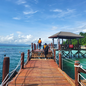 코타키나발루 사피섬 + 마누칸 또는 마무틱 섬 투어