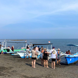 발리 로비나 돌핀 워칭 & 수영