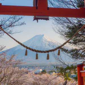 (한국어 가이드) 후지산 핵심 일일 버스 투어 A코스
