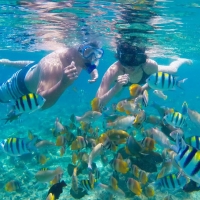 [나트랑] 스피드보트 호핑투어