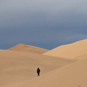 [몽골]고비사막 투어 5박6일