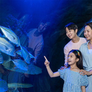 [광교] 아쿠아플라넷 입장권(2/1~2/28)