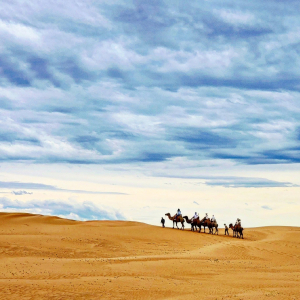 몽골 테를지 + 아르항가이 미니 고비사막 2박 3일 단독 투어