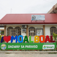[세부] 모알보알 & 만타유판 폭포 단독투어 (거북이 & 정어리떼 스노클링)