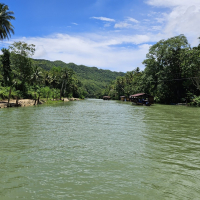 [보홀] 육상데이투어