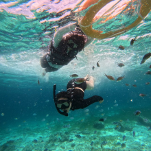 [세부] 실속만족! 가성비 오리지날 스타 호핑투어