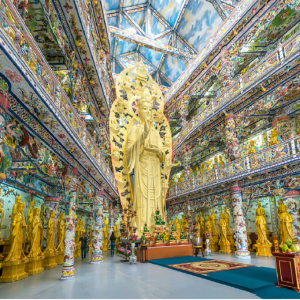 [알찬 달랏] 나트랑 출발 달랏 데이 투어  (캐리어보관/한국인전용/달랏 필수 코스 투어)