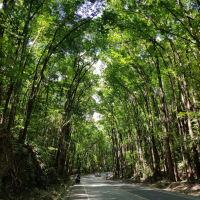  [보홀]  육상데이 체크아웃투어