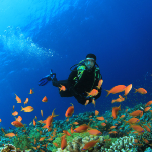 [세부 액티비티 & 데이투어] 스킨 스쿠버 다이빙 - 체험다이빙 (교육+강습+실습/체험+수중 촬영)