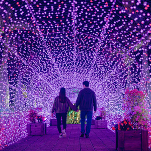 [오키나와]오키나와 동남식물낙원 1DAY 패스 (주간+야간)