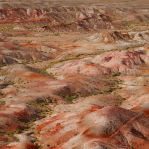 [몽골]5박6일 고비사막 투어