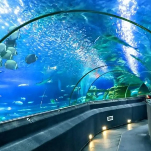 (한국어가이드) 나트랑 시티 체크아웃 단독 투어