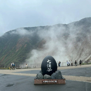 (한국어 가이드) 후지산 포토 스팟 일일 버스 투어 D코스