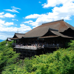 [나라/교토][OPEN] 오사카 출발 나라 교토 1일 버스투어 동대사 사슴공원 아라시야마 청수사 (라쿠투어)