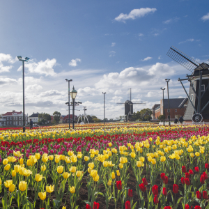 [후쿠오카] 하우스텐보스 다이렉트 입장권 