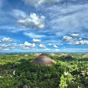 [보홀] 반나절 육상 데이 투어