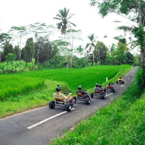 발리 정글 카트 & 크레트야 우붓 투어