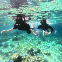 [세부] 실속만족! 가성비 오리지날 스타 호핑투어