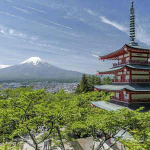 (한국어 가이드) 후지산 핵심 일일 버스 투어 A코스