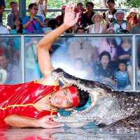 파타야 악어 농장 & 케이브 비치 클럽 반일 단독 투어