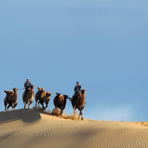 [몽골] 3박4일  우기호수/ 쳉헤르온천/ 미니사막 중부 겨울원정대 투어