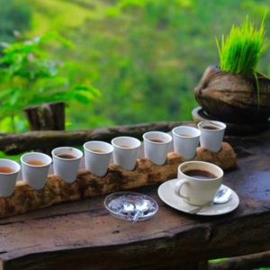 (한국어가이드) 발리 바투르산 일출 지프 + 플로팅 템플 + 커피 농장 단독 투어