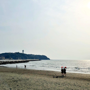 [도쿄] 출발 하코네 가마쿠라를 한번에, 1일버스투어 6명출확