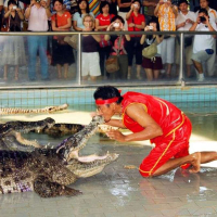 파타야 악어 농장 & 케이브 비치 클럽 반일 단독 투어