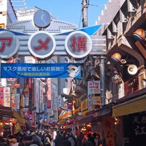  [도쿄] [입국 후 바로 여행] 단독 도쿄 반나절 투어 (공항 픽업 & 호텔 드롭) 반대도 가능!!