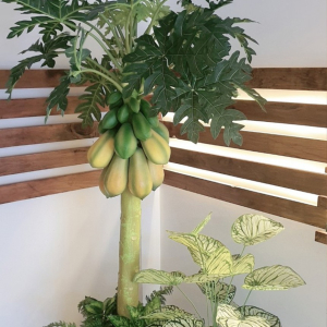 [나트랑] K 스파