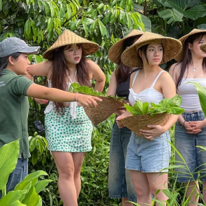 우붓 반딧불이 및 빌리지 이브닝 투어
