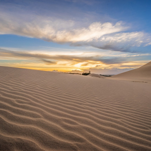 [나트랑]프리미엄 리무진 차량_판랑 사막투어
