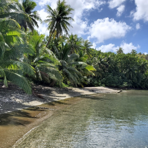 [괌] 남부 비키니섬에서 즐기는 제트스키 돌핀와칭투어