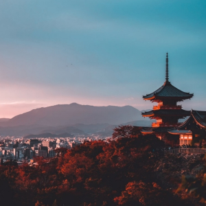 [오사카]오사카 출발 교토 5스팟 1일 버스투어 최소 인원 1명