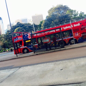 [시드니] 시드니 빅버스 티켓
