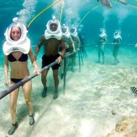 조인투어 참섬 스노클링 + 씨워킹