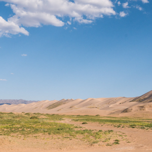 [몽골]6박7일 고비사막 투어