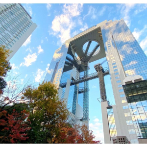 [오사카]간사이 조이패스(일주일간 사용가능)