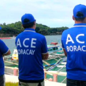 단독밴 프라이빗 서비스 보라카이, 칼리보 픽업 샌딩 [편도]