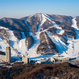 25/26 평창 휘닉스파크 스키학교 강습권