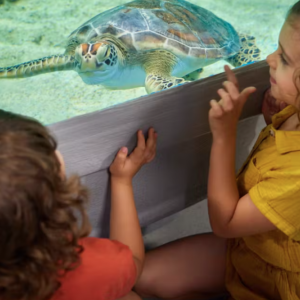 [케언즈] 아쿠아리움 티켓