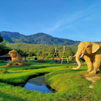 [치앙마이] 택시 단독 투어 몬쨈 후웨이퉁 타오호수 아이언 우드카페 보타닉가든 야간 도이수텝