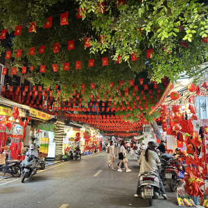 (한국어가이드) 닌빈 짱안 + 하노이 올드 시티 야경 단독 투어 / 하노이 출발
