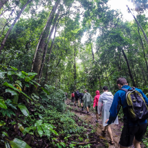 [치앙마이] 도이수텝 트레킹 투어