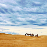 몽골 테를지 + 아르항가이 미니 고비사막 2박 3일 단독 투어