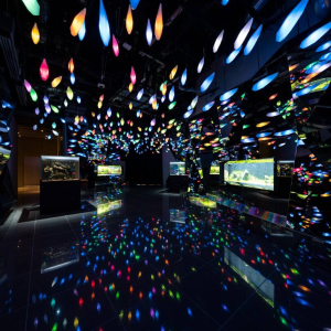 [고베] AQUARIUM×ART 아토아(átoa) 입장권