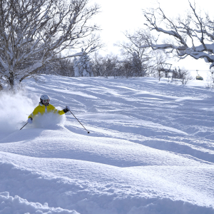 [홋카이도] KIRORO 스노월드 리프트, 곤돌라 6시간 이용권