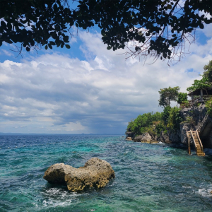  [보홀] 나팔링 체험다이빙