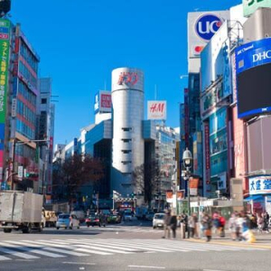  [도쿄] [입국 후 바로 여행] 단독 도쿄 반나절 투어 (공항 픽업 & 호텔 드롭) 반대도 가능!!