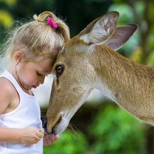 (방콕출발) 파타야 카오키여우 오픈주 반일 단독 투어